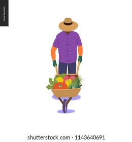 Harvesting people -vector flat hand drawn illustration of a young beared hipster man wearing straw hat driving a wheelbarrow full of green vegetables. Self-sufficiency, farming and harvesting concept