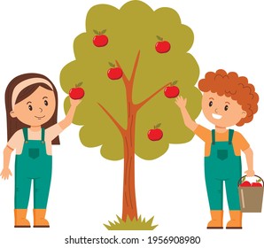 Harvesting people - vector flat hand-drawn illustration of a young girl and boy wearing rubber boots collecting apples to the big basket. Self-sufficiency, farming and harvesting concept