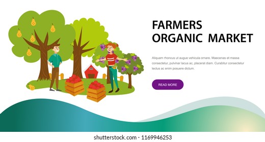 Harvesting picking fruits horizontal banner