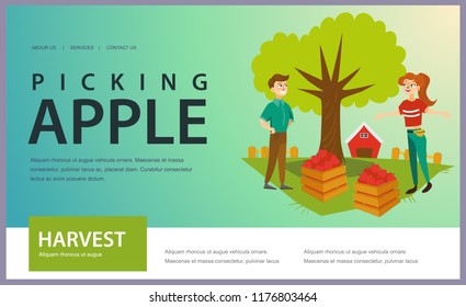 Harvesting picking fruits horizontal banner