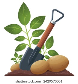 Harvesting potatoes. Graphic drawing of sandy soil, chernozem, shovel and a bush sticking out of the ground, young potatoes. Close-up. Vector. Spring and fall season. Agricultural crop.