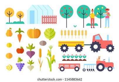 Harvesting process and vegetables orangery fruit trees with people gathering ripe products. Tractor and farming equipment. Harvester combiners vector