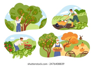 Harvesting scenes. Farmers pluck fruits and berries from trees. People pick vegetables. Pumpkin and tomato beds. Garden plants crop. Agriculture and horticulture. Garish