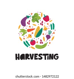 Harvesting season hand drawn vector banner template. Black ink lettering with autumn vegetables. Eco produce fair, organic farming, harvest gathering event poster design element