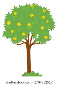 Harvesting season vector, isolated apple tree with yellow fruits. Foliage on branches, bushes on ground, summer or autumn. Natural production garden. Picking apples concept. Flat cartoon