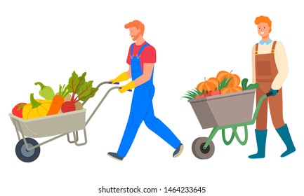 Harvesting season vector, isolated people pushing carts with vegetables. Beetroot and pumpkin, tomato and potato, veggies organic production of farm. Flat cartoon