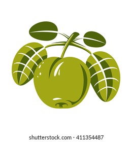 Harvesting symbol, single vector fruit isolated. Ripe organic sweet apple with green leaves, healthy food idea design icon.