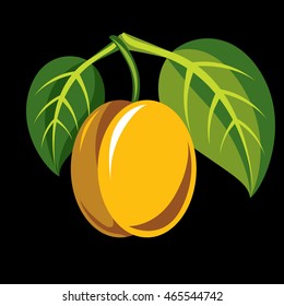 Harvesting symbol, single vector fruit isolated. Ripe organic sour lemon with green leaves, healthy food idea design icon.