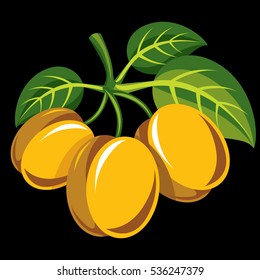 Harvesting symbol, single vector fruit isolated. Three yellow organic sour lemons with green leaves, healthy food idea design icon.