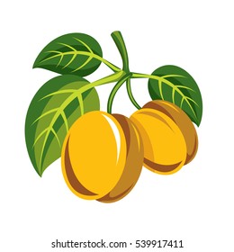 Harvesting symbol, single vector fruit isolated. Two yellow organic sour lemons with green leaves, healthy food idea design icon.