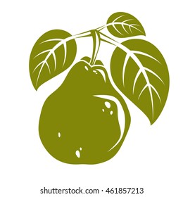 Harvesting symbol, vector fruit isolated. Single organic sweet pear with green leaves, healthy food idea design icon.