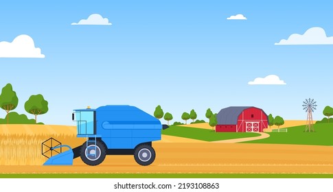 Harvesting wheat with a combine harvester on the background of a farmer hangar. Vector illustration