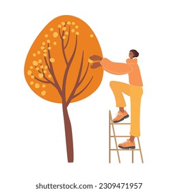 Harvesting woman. Autumn fruits. Woman standing on staircase by tree and going to take fruit. Vector Fall, Autumn, Thanksgiving Design element for poster, banner, invitation. Farmer gathering fruit.