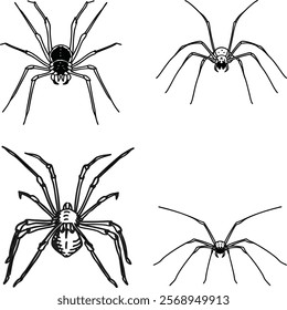Harvestman line art and illustrator eps