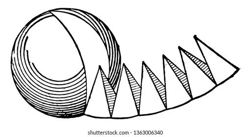 It has been shown that the pyramids cut from the sphere, which shows that a sphere (ball) is formed by concrete pyramids, vintage line drawing or engraving illustration.