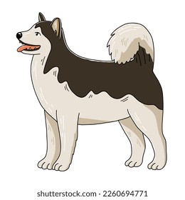 Hasky dog, vector illustration in cartoon style isolateted on white background