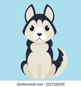 Hasky dog vector illustration in flat style