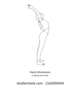 Hasta Uttanasana or Raised Arms Pose. Vector.