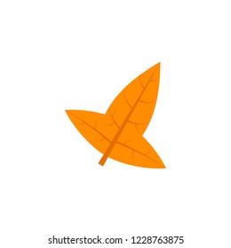 hastate leaf flat icon on transparent background