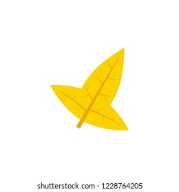 hastate leaf flat icon on transparent background