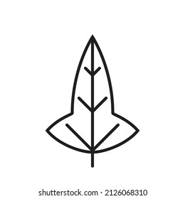 hastate leaf line icon. ivy, botanical and nature symbol. isolated vector image in simple style