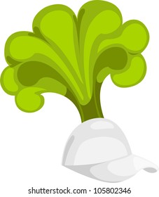 hat onion fantasy party  illustration