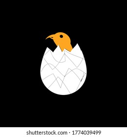  hatch bird eggs design vector