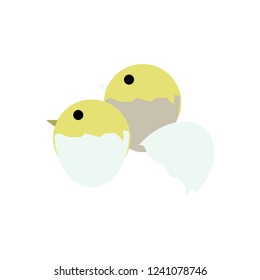 hatch chicken vector icon