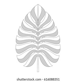 Hatch Monstera Leaf Tropical Exotic Plant Vector Illustration Graphic Art for Print Botanical Drawing Line Art Sketch