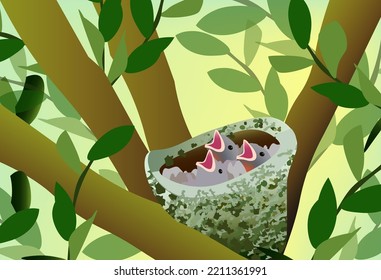 hatched chicks opened their beaks begging to eat family waiting for parents mother in a twisted nest spring nesting feathered dwelling chaffinch swallows sparrows pigeons shrub forest tree foliage 