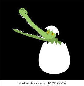 Hatched crocodile from egg isolated. Vector illustration