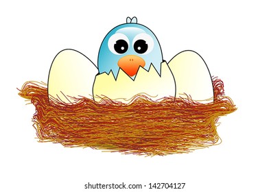 Hatched egg in the nest