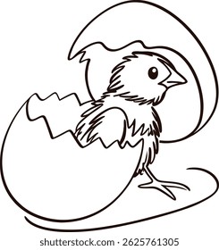 Hatching Chick In Eggshell Illustration Springtime Bird Outline Graphic Art
