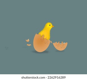 hatching chicken eggs, new chicks coming out of the eggshell, dark gray background