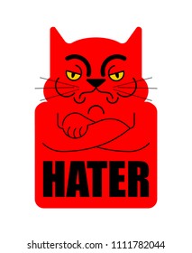 Hater Grumpy cat. Angry pet. Vector illustration
