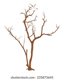 Haunted Dead Tree Branches