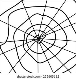 Haunted Spider Web