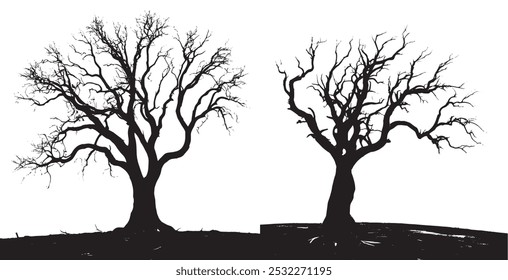 haunted tree with twisted branches isolated on transparent background