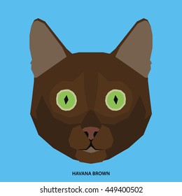 Havana brown, Isolated cat breed, Vector illustration