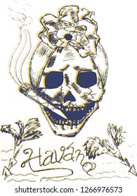 Havana composition with skull smoking cigar. Hand drawn skull vector illustration