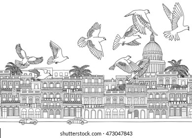 Havana, Cuba - hand drawn black and white cityscape with birds