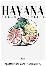 HAVANA slogan with fruit illustration. Vector graphics for t-shirt print and other uses.