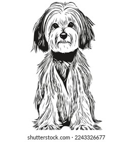 Havanese dog black and white vector logo, line art hand drawn vector pets illustration
