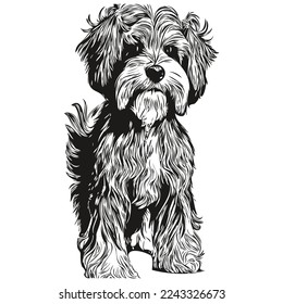 Havanese dog hand drawn line art vector drawing black and white logo pets illustration
