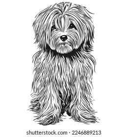 Havanese dog hand drawn logo line art vector drawing