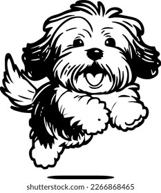 Havanese, dog jump and happy, vector illustration, black color, vector image