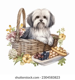 Havanese Dog in Picnic Basket with Flowers Watercolor Vector Illustration