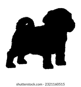 Havanese Dog puppies silhouette. Baby dog silhouette. Puppy