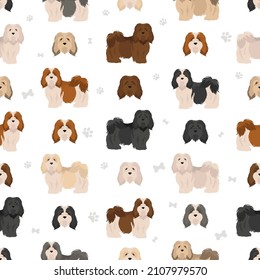 Havanese dog seamless pattern. Different poses, coat colors set.  Vector illustration