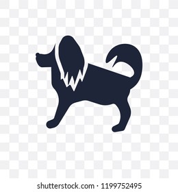 Havanese dog transparent icon. Havanese dog symbol design from Dogs collection. Simple element vector illustration on transparent background.